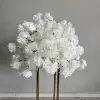 Ivory+White
