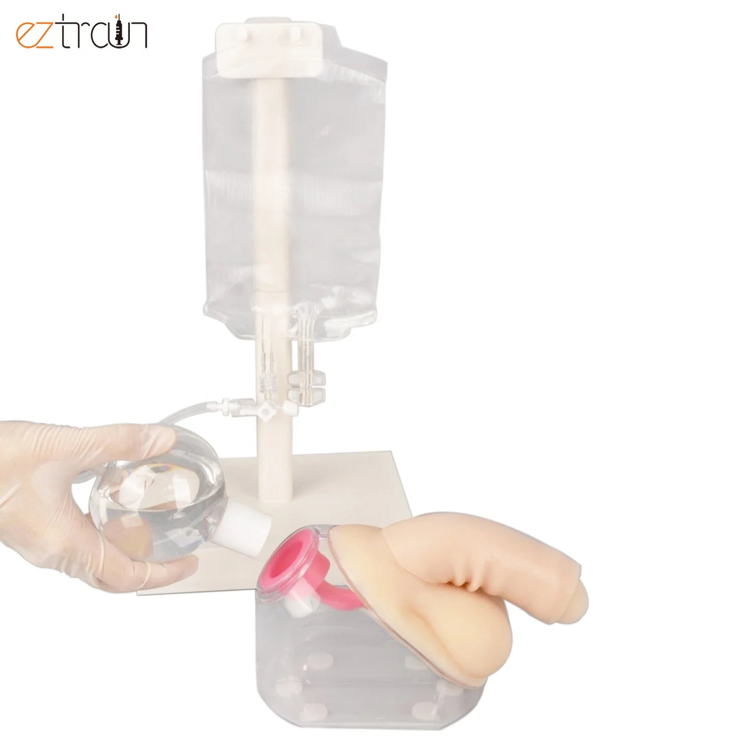 Medical Science Male Urinary Catheterization Model Catheter Model Bladder Catheterization Trainer for Nursing Center