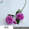 Dark Fragrance Y Purple