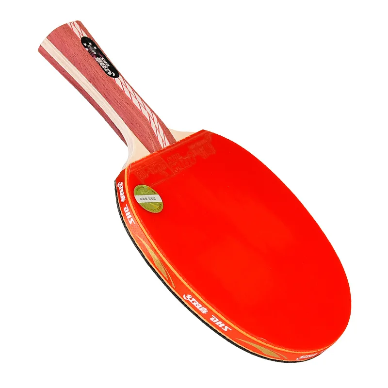 DHS 4 Star Professional Table Tennis Racket Straight and Horizontal Pingp Ong Racket