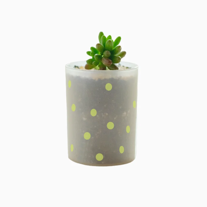 Hot Colorful Round Pen Stand Container Pen Stand Box Pen Holder for Office Stationery