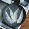 MH687 New York Fern 8-11cm white 50pcs
