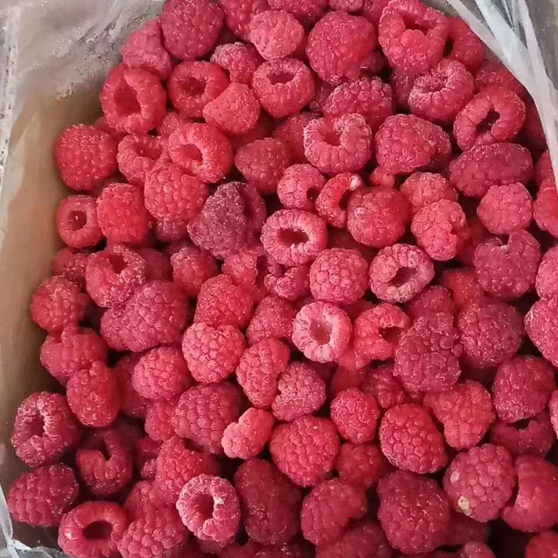 IQF 冷凍ラズベリー 純粋な100%ナチュラル 甘味のあるベリー類 バルク段ボール 卸売供給