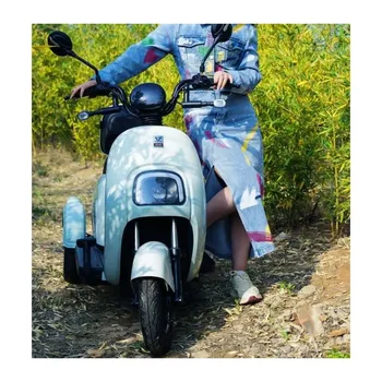 Mini 3 Wheel Electric Vehicle Tricycle Motor Kit Price in India / 48V 500W Electric 3Wheel Motorcycles Tricycle Tuk Tuk E-Trikes