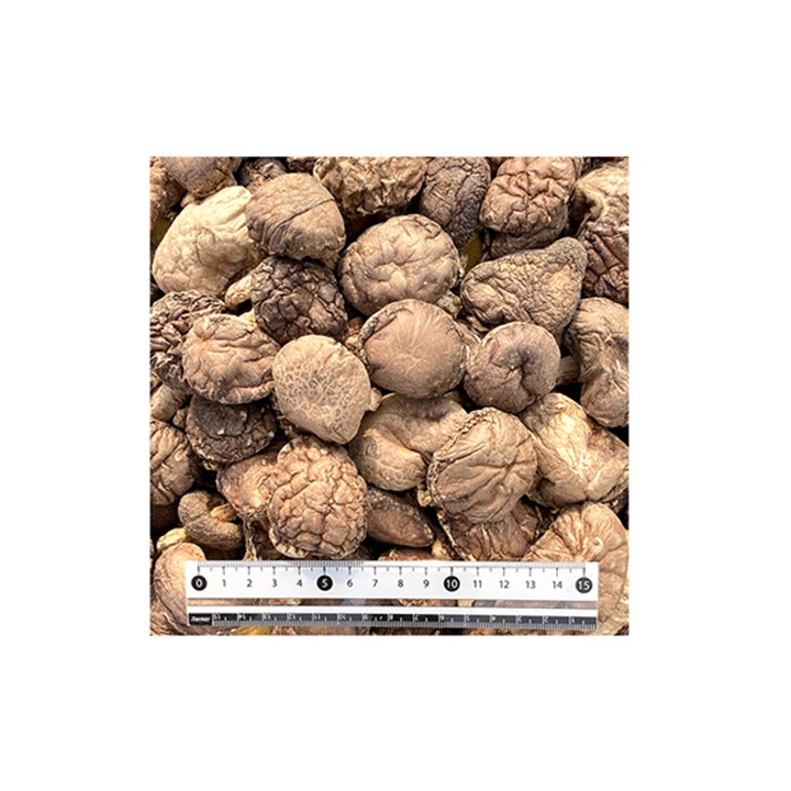 natural thick dried meaty mushrooms shiitake wholesale export