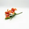 Arancione