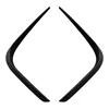 Aspect carbone