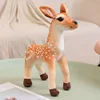 Doe