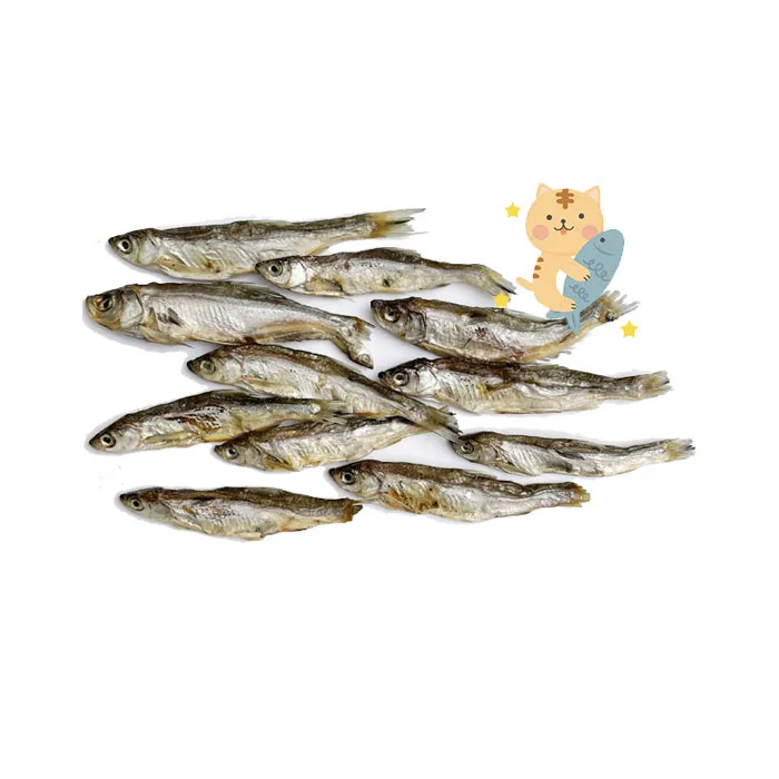 ningbo hot sale competitive high quality sun-dried dried fish