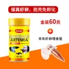 Golden peeled baby shrimp eggs (60g) + feeding tube
