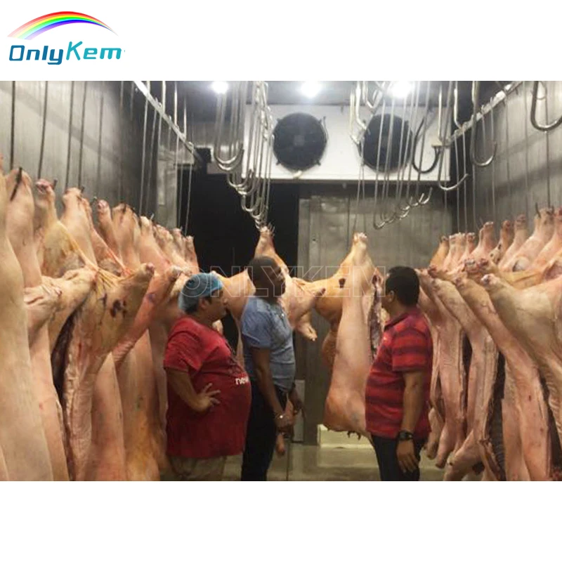 Walk in Freezer Cold Storage Butcher Shop Cold Room for Sausage Meat Processing Plant