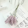 Pourpre