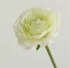 Blanco Verde