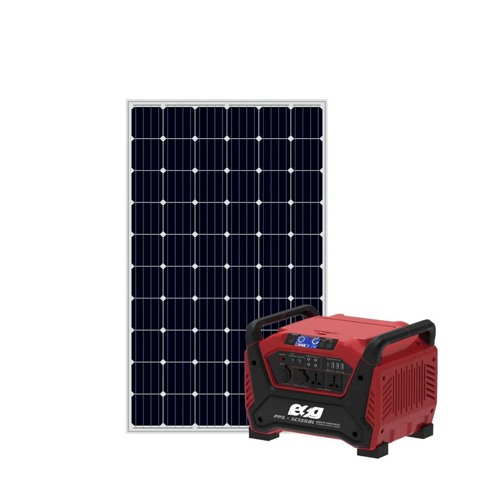 ESG Complete design 1000w 24V Solar AC DC solar power High Quality panels battery solar electricity generating system