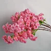 Rosa intenso