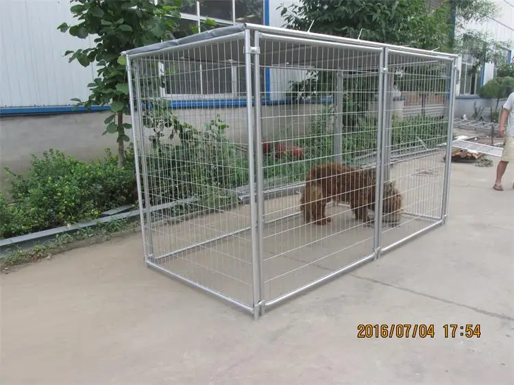 Cheap Galvanized Dog Kennels 6'x10' Large Walk In Outdoor Large House Dog Kennel Buy Walk In