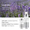 Lavender (France)
