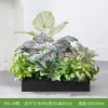 hc-Y60-14 es adecuado para jardineras de 60 cm.
