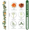 Belleza Nacional y Fragancia Celestial - Naranja C