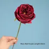 Mary Red Purple