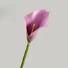 50cm Light Purple