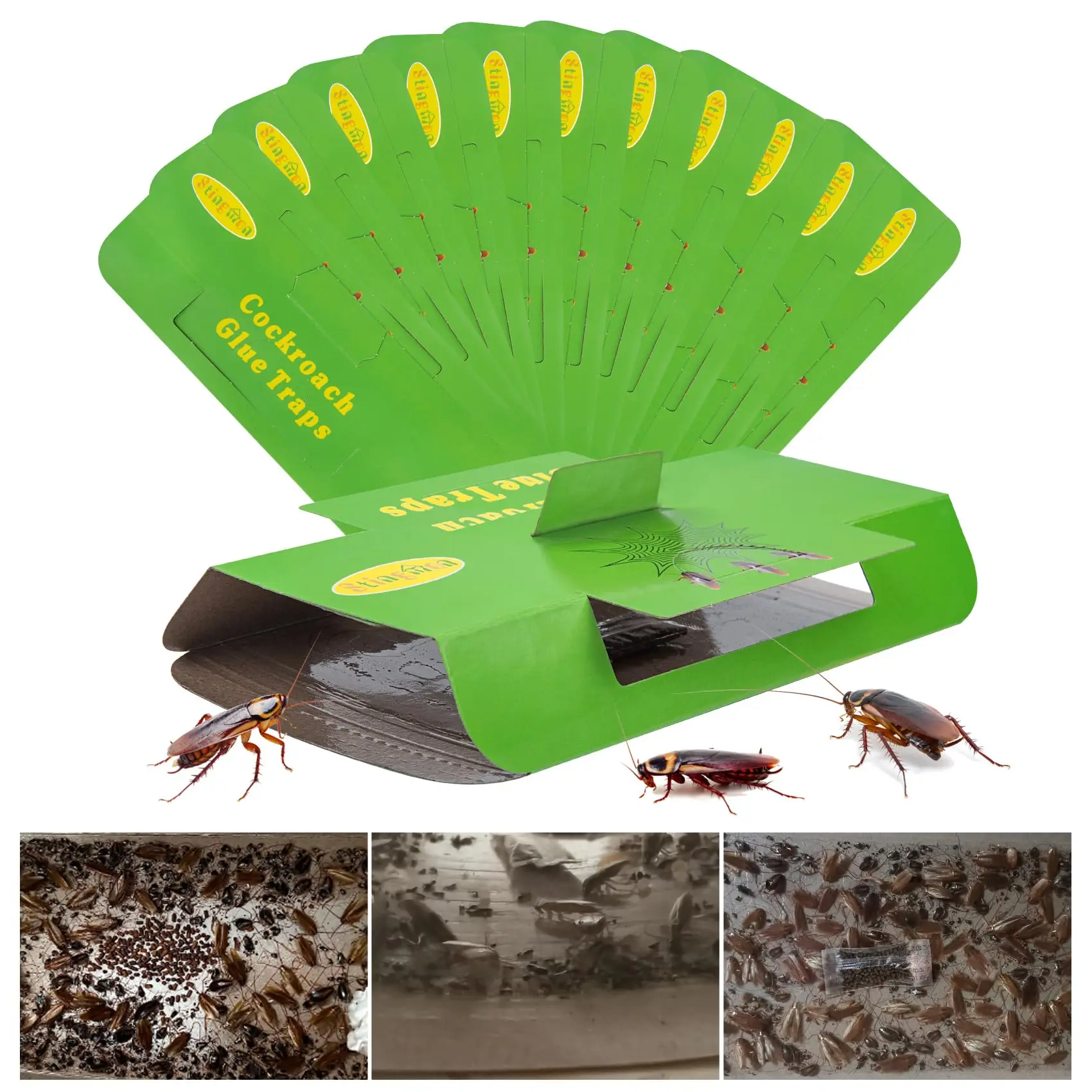 Solid State Cockroach Killing Glue Traps Effective Pest Control Chemicals for Roach Control