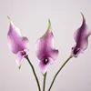 Pink PURPLE