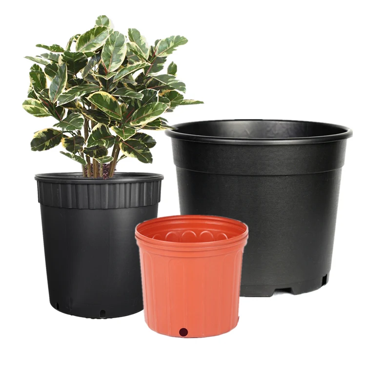 grow plant pot 3" Grow Pot (5 pack)  Canopy Plant Co