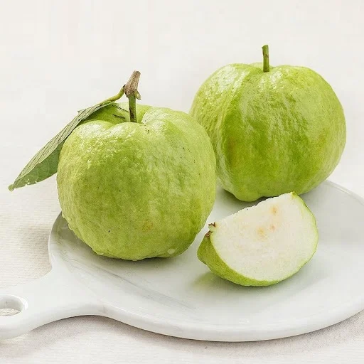 High Quality Fresh Guava Fruit From Vietnam Buy Guava Fresh Guava Guava Fresh Product On Alibaba Com