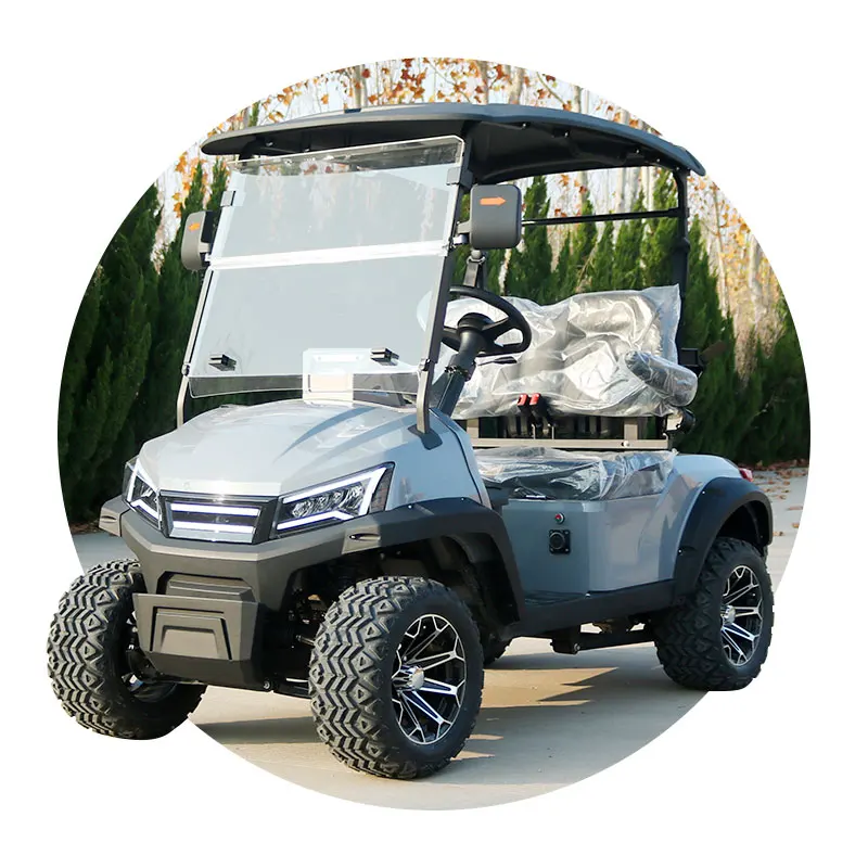 Affordable Electric Golf Buggy Wheel Fun Versatility