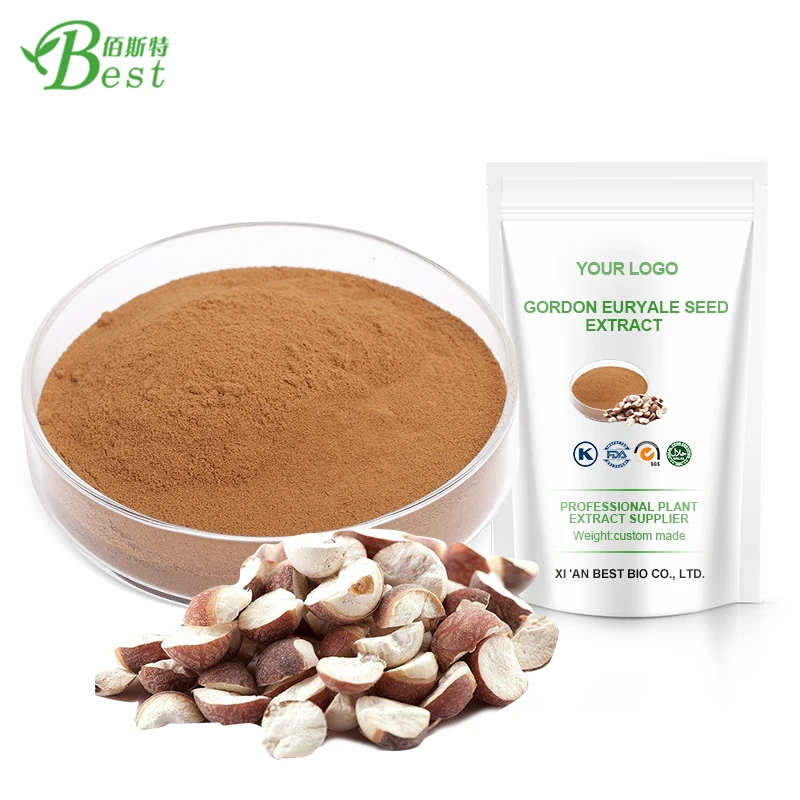 High Quality Euryale Ferox Seed /gordon Euryale Seed Extract 41201