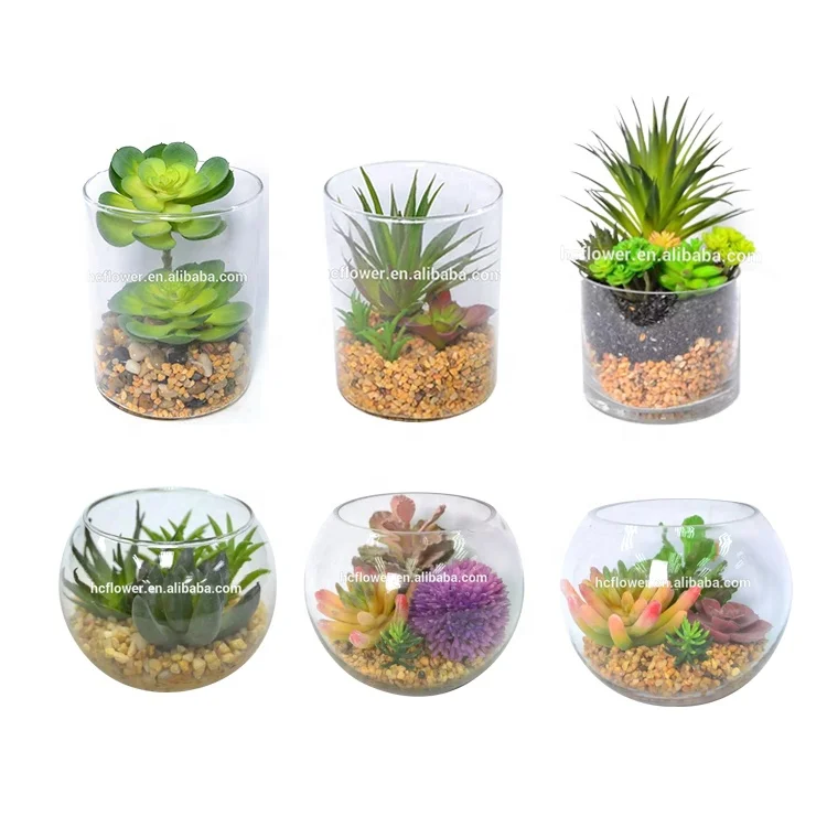 Factory Price Indoor Tabletop Decoration Mini Glass Artificial Succulent Bonsai Plants