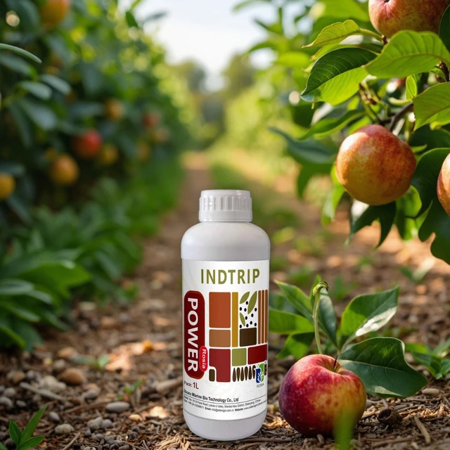 Indole-tryptamine Plant Growth Regulator Promotes Root Growth, Flower Blooming, Fruit Enlargement and Rapid Growth Fertilizer