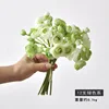 Color Verde 12 PCs