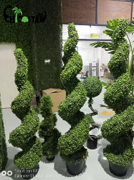 bonsai jasmin Flowering White Jasmine Bonsai Tree main image 0