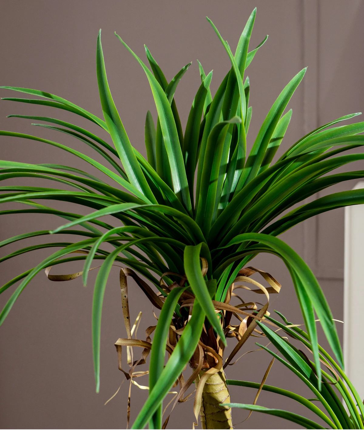 outdoor home tree simulated plastic pot greenery decorations-7