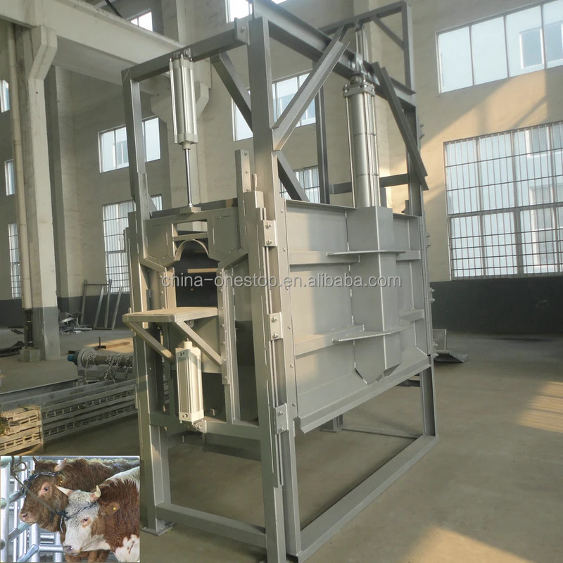 Pneumatic cattle killing box for cattle slaughtering line at modern Abattoir factory