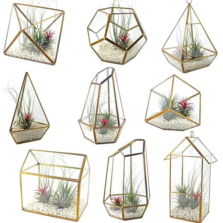 Glass Plant Terrarium.jpg