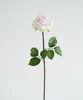 Rosa claro