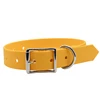sunflower yellow
