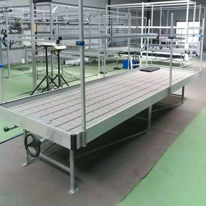 Farm Rolling Benches Table Ebb and Flow Tray Abs 4*6 2×4 4×8 Growing Rdwc Hydroponic Vertical Farming Systems