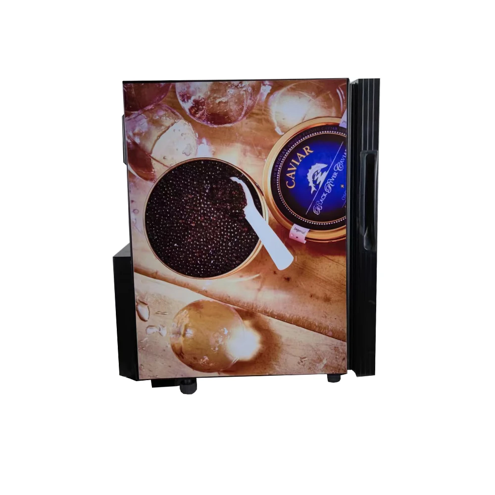 Best Value 21L Mini Upright Store Caviar Refrigerator for Monster Drink Energy Display Showcase