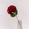 Une branche rouge foncé