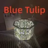 Blue Tulip