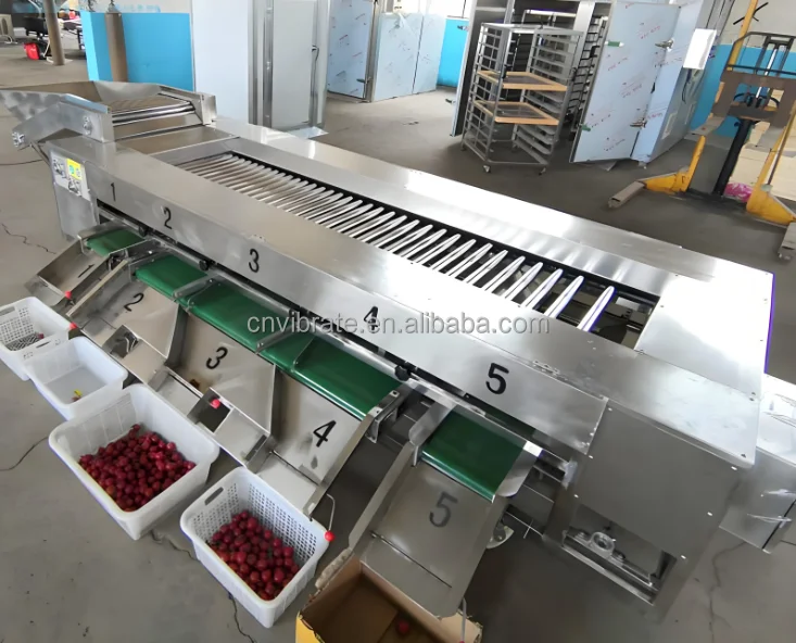 VBJX Date Cherry Cucumber apple Ginger Carrot Chilli Vegetable Fruit Defect for Sorting Grading Sorter Grader Machine