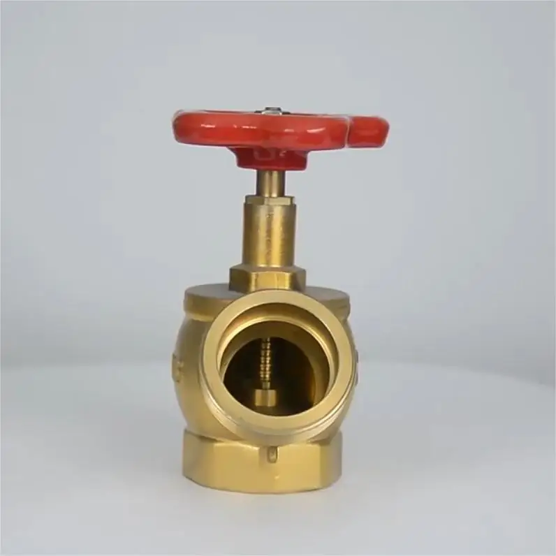 Angle Globe Hose Valve factory