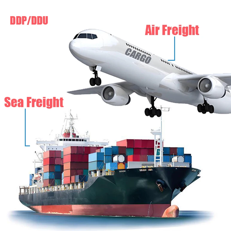 Cameroon Door to Door FedEx DHL UPS EMS TNT Express Service DDP/ddu/Air/Sea Freight Forwarder China to Zambia Zimbabwe Senegal