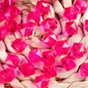 Rosa oscura