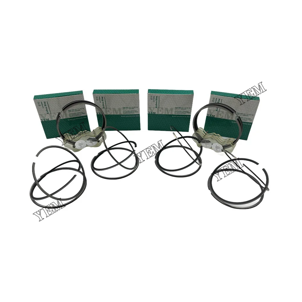 Engine Rebuild Kit 3066 Piston Ring for Caterpillar Fast Delivery Engine Parts