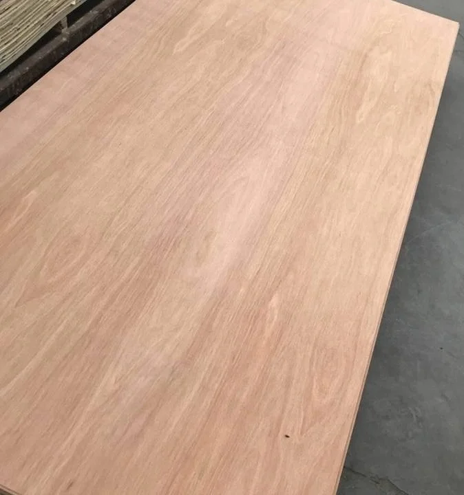 Cheap Price 8x4  9mm 12mm 15mm 18mm Plywood